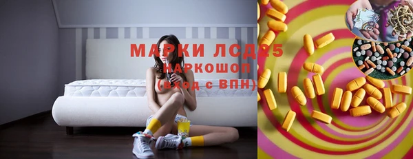 хмурый Каменка