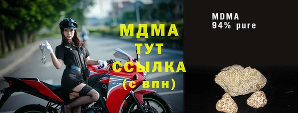 хмурый Каменка