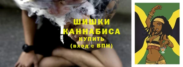 хмурый Каменка