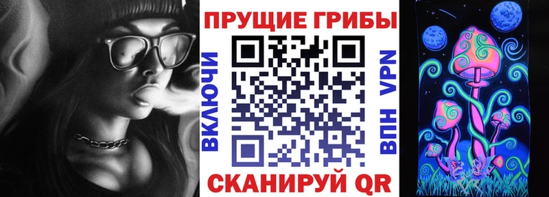 Галлюциногенные грибы Magic Shrooms  МЕГА как войти  Хасавюрт 