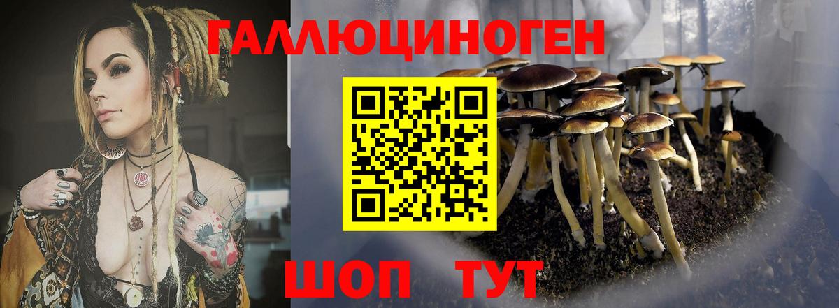 Галлюциногенные грибы GOLDEN TEACHER Хасавюрт